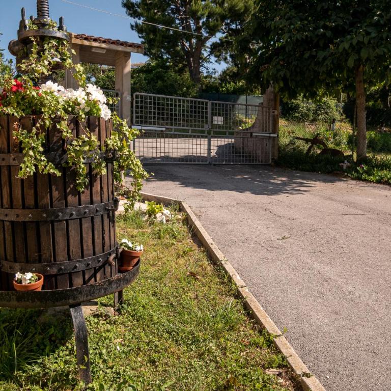 Cortile nel Conero - Appartamento con 1 Camera da Letto - 3