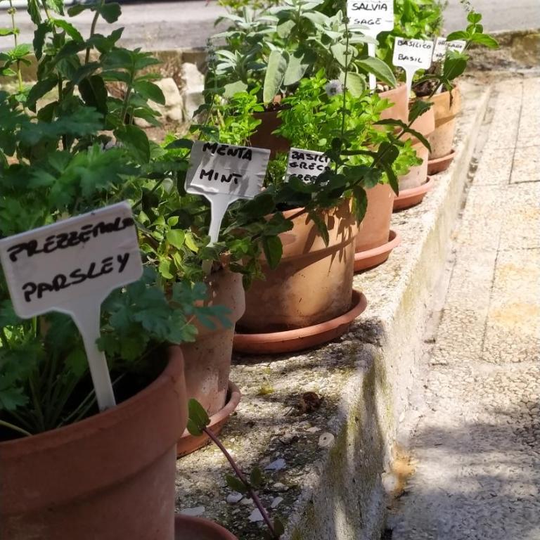 Cortile nel Conero - Appartamento con 1 Camera da Letto - 9