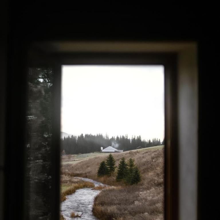 Le Moulin des Scies Neuves - Superior Chalet - 42
