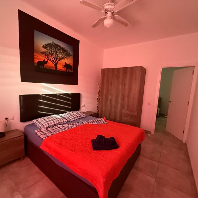 Casa Niky 25 - Apartamento de 2 dormitorios - 5