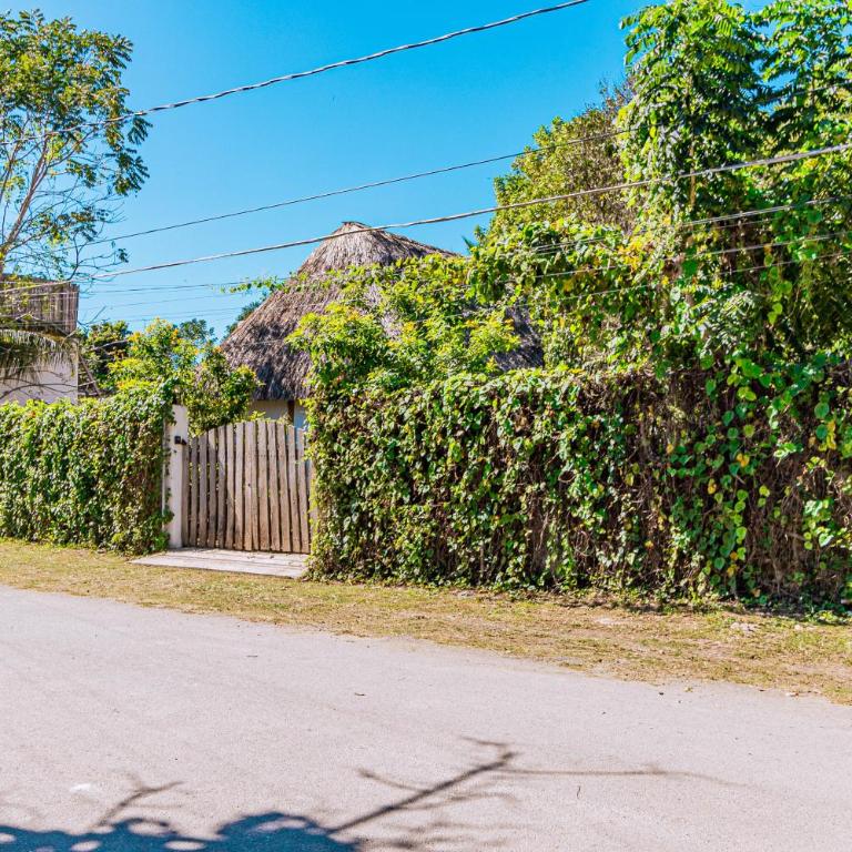 Casa Laila Cozy House in Bacalar Center - Chalet Superior - 45