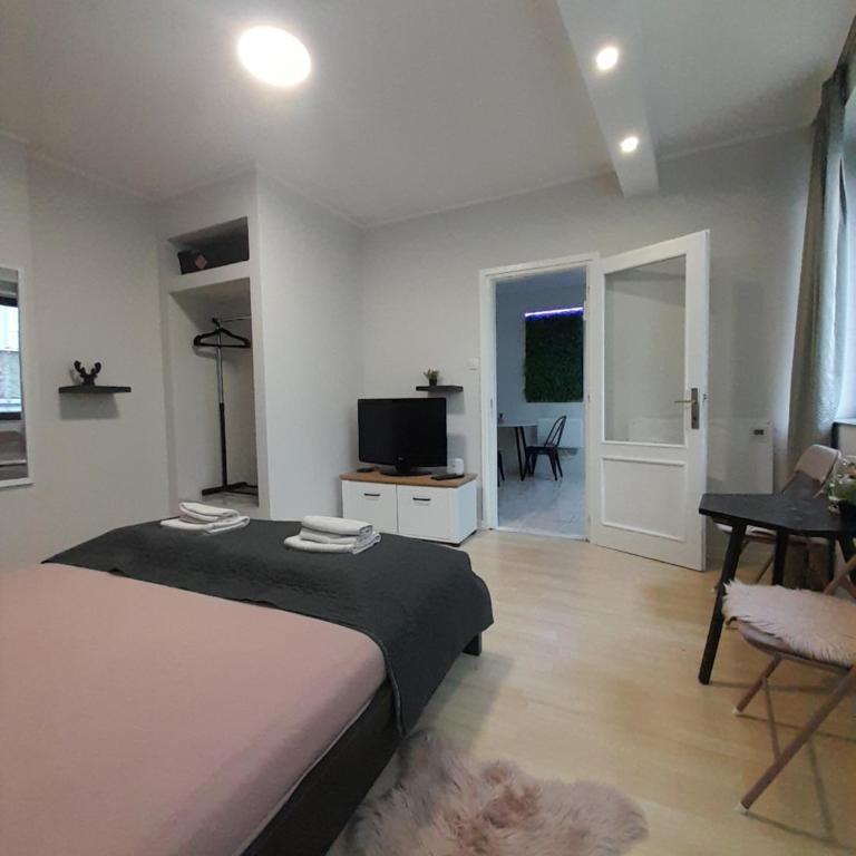 Cool & Cozy Center - Apartman sa 1 Spavaćom Sobom - 16