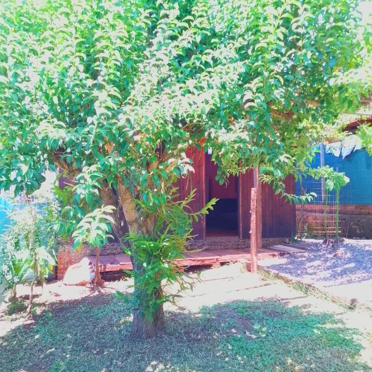 Cabaña saltos do yucumã - One-Bedroom House - 16