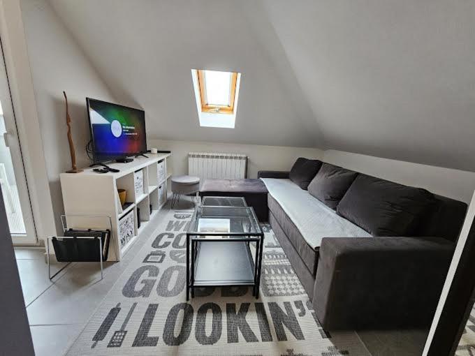 Top Dedinje - Apartman sa 1 Spavaćom Sobom - 3