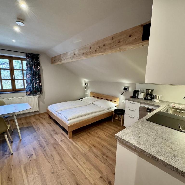 Felbermayer Appartements - Studio - 3
