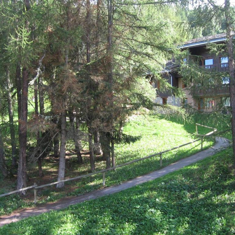 Studio divisible pour 4 pers, vue sur sapins, animaux admis - Studio - 8
