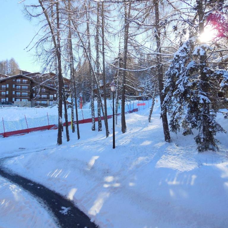 Studio divisible pour 4 pers, vue sur sapins, animaux admis - Studio - 10