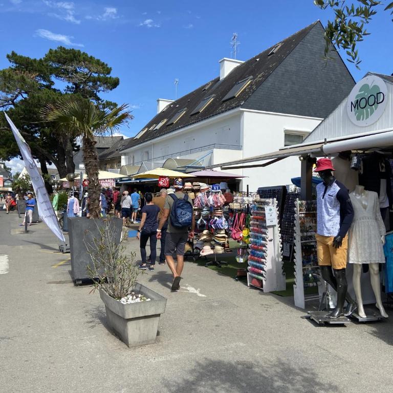 CORMORANE 2 - Studio, Plage 100m - U32 - Studio - 16