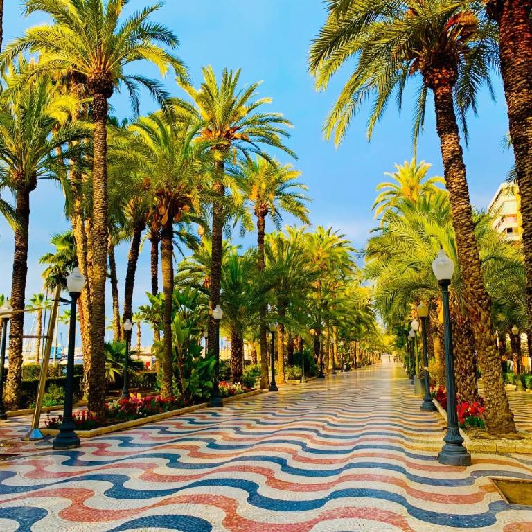 Casas349h Alicante City Centre Trafalgar - Three-Bedroom House - 32