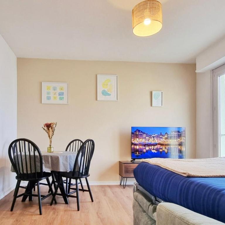 Le Petit Léon - Colmar - Fibre - RBNB - Apartment mit 1 Schlafzimmer - 9