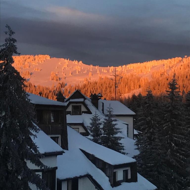 Vila Breg Kopaonik Centar - Apartman sa 1 Spavaćom Sobom - 6