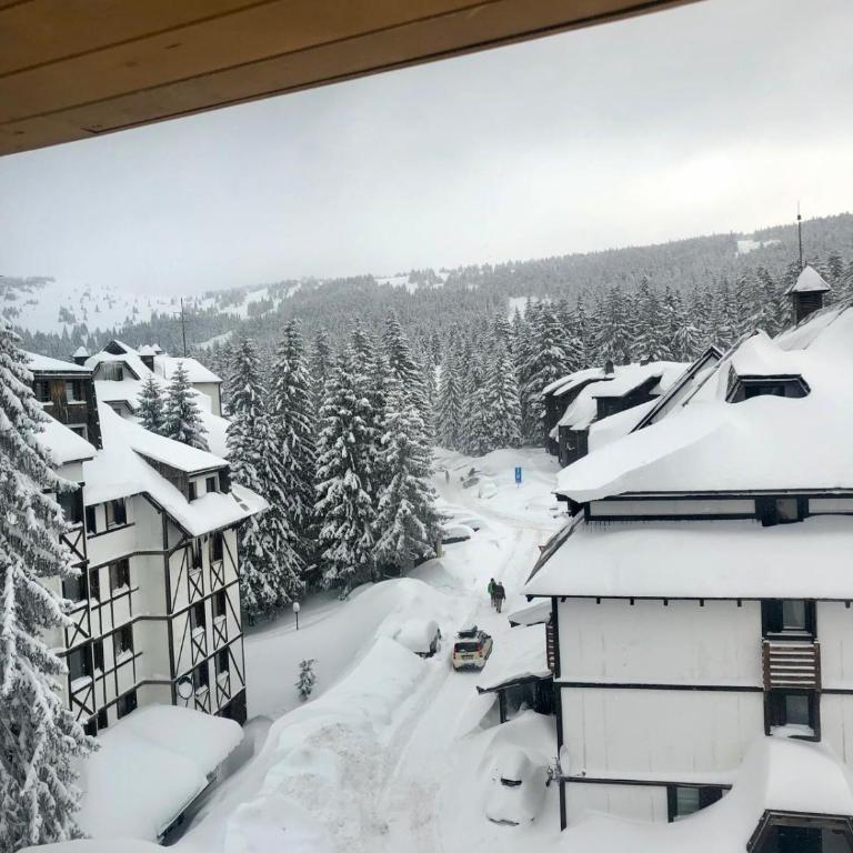 Vila Breg Kopaonik Centar - Apartman sa 1 Spavaćom Sobom - 16