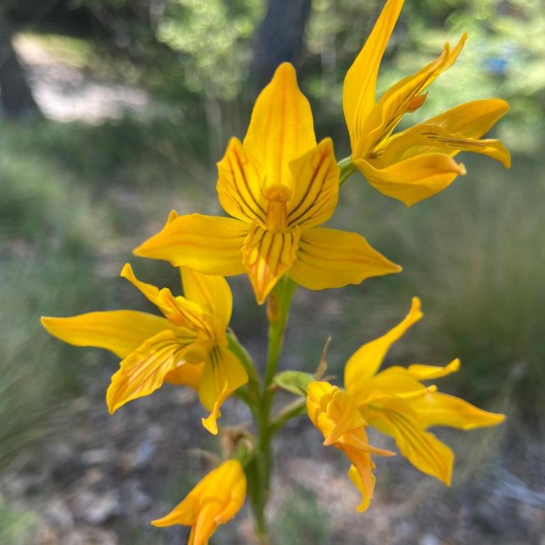Casa Indómita - Casa Unifamiliar de 3 dormitorios - 2