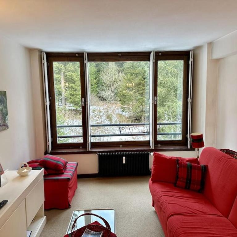 Monolocale Cristallo 19 - Serafini - Appartamento - 4