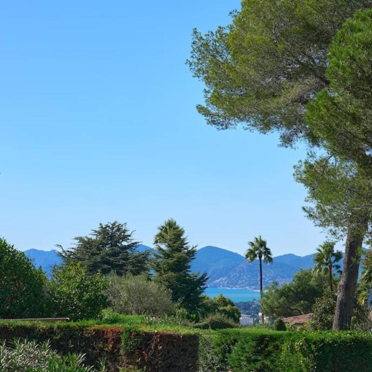 Cannes, splendide villa dans un domaine privé - Villa - 21