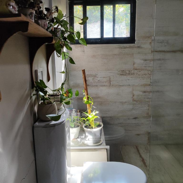 Steinhaus - Casa con 1 dormitorio - 20