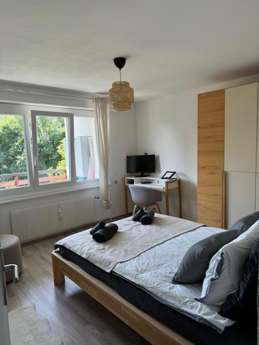 Charmant appart, avec parking à quelques minutes du départ des télécabines - Appartement 1 Chambre - 19