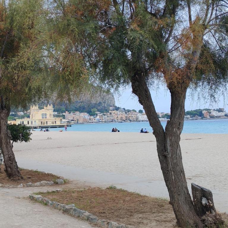 Mondello La Piazzetta Apartment - Appartamento con 2 Camere da Letto - 3