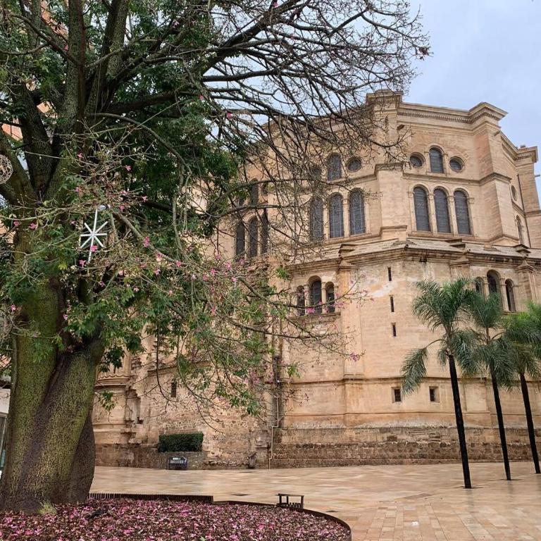 Centro Histórico - Catedral 2 - Apartamento de 2 dormitorios - 18