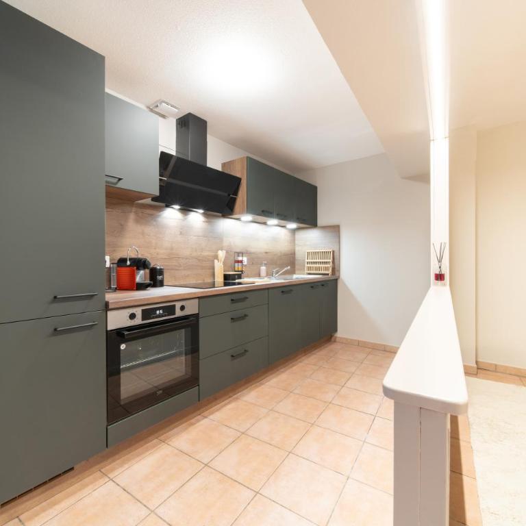 Le Grand Lion Colmar Centre Parking Gratuit - Appartamento con 2 Camere da Letto - 4