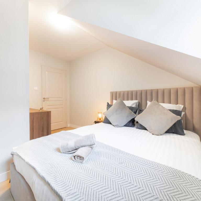 Le Grand Lion Colmar Centre Parking Gratuit - Appartamento con 2 Camere da Letto - 13