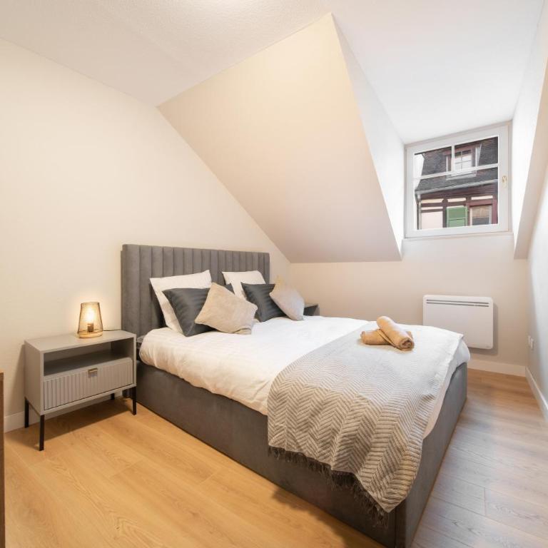 Le Grand Lion Colmar Centre Parking Gratuit - Appartamento con 2 Camere da Letto - 11