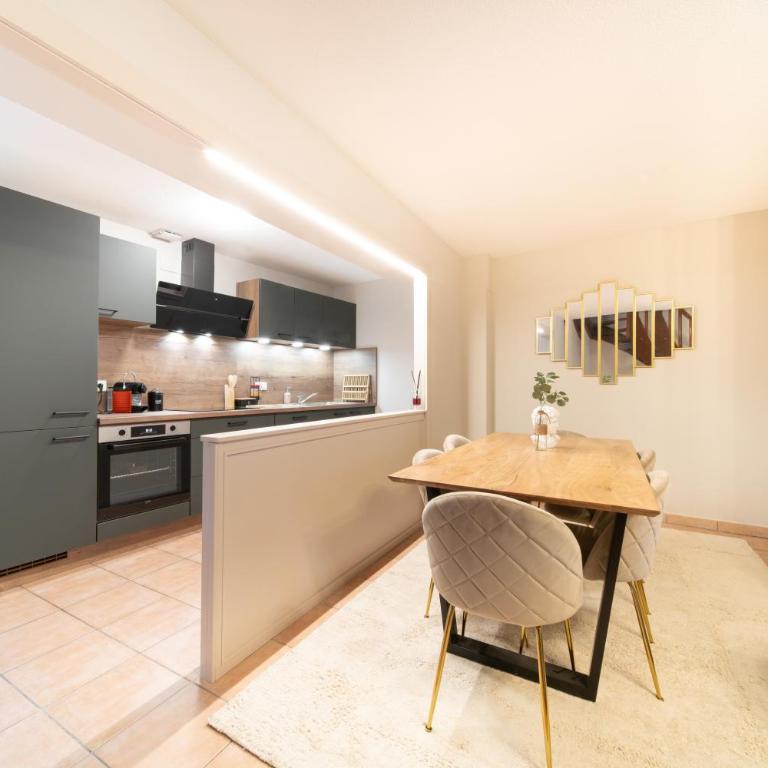 Le Grand Lion Colmar Centre Parking Gratuit - Appartamento con 2 Camere da Letto - 2