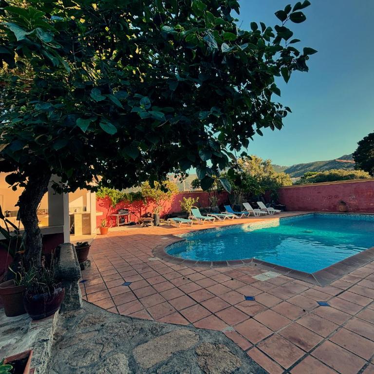 Résidence ANTONIA Appartements avec piscine commune - centre ville Calvi - Apartamento de 3 dormitorios - 7