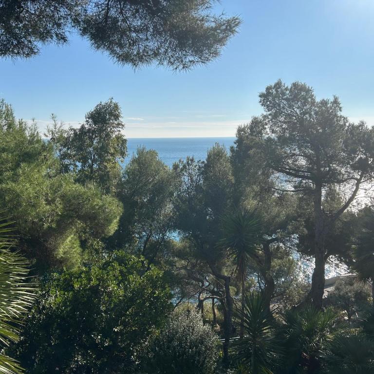 Estasi di Cabiria - One-Bedroom Apartment - 14