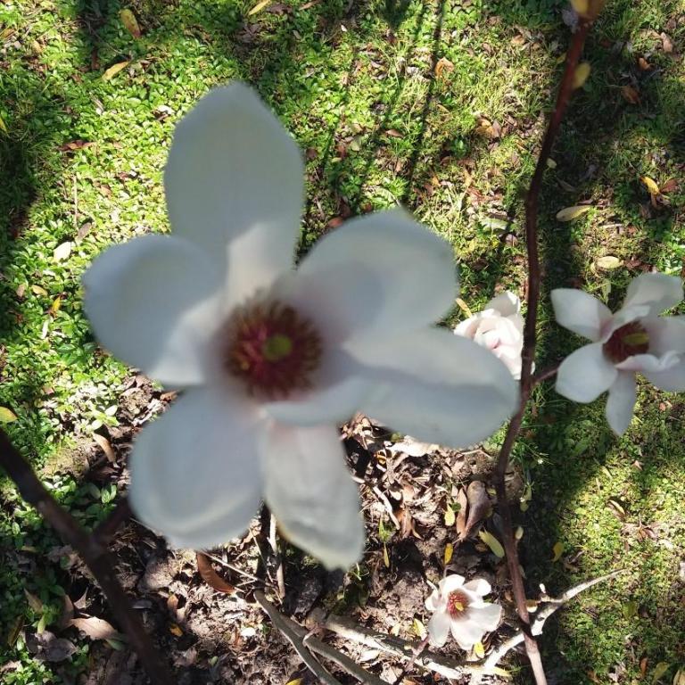 Quinta La Gloria - Casa de 2 dormitorios - 4