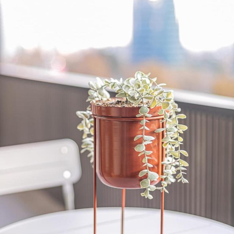 Vive la Elegancia en El Golf Moderno y Comodo - Apartamento - 38