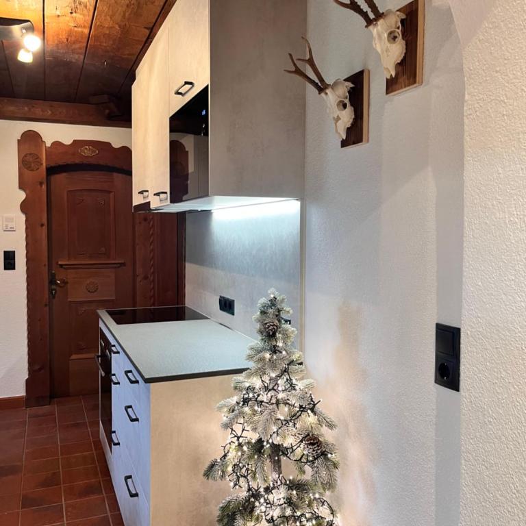 Apartment Katharina Schneeberger - Appartement 4 Chambres avec Balcon - 12