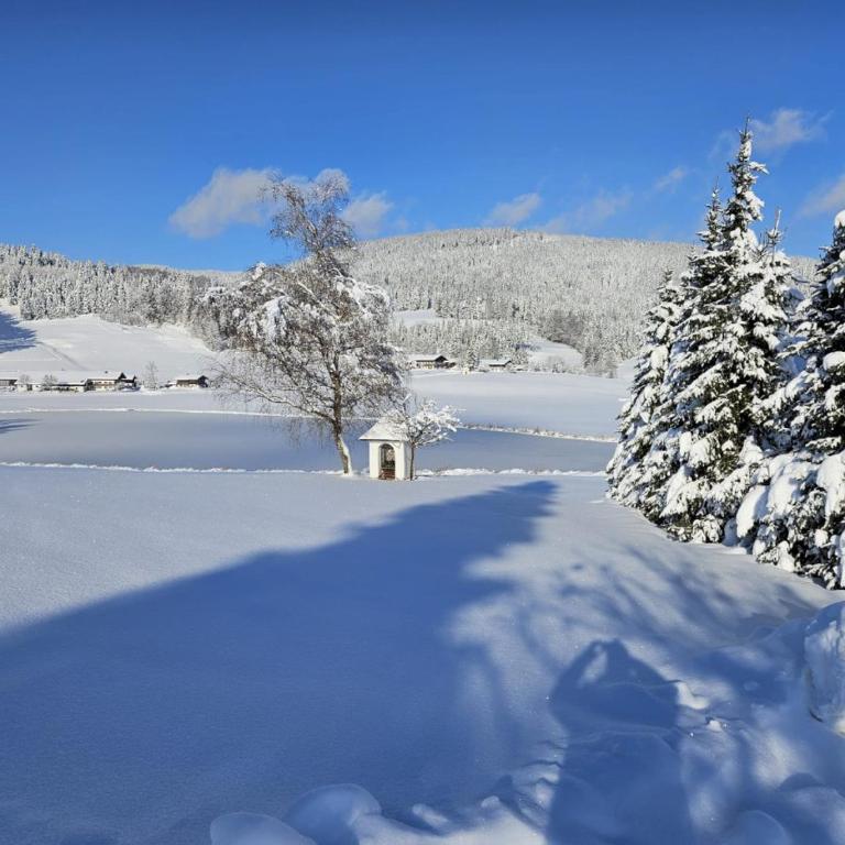 Ferienhaus Froschsee inkl. Chiemgaukarte - Haus mit 5 Schlafzimmern - 4