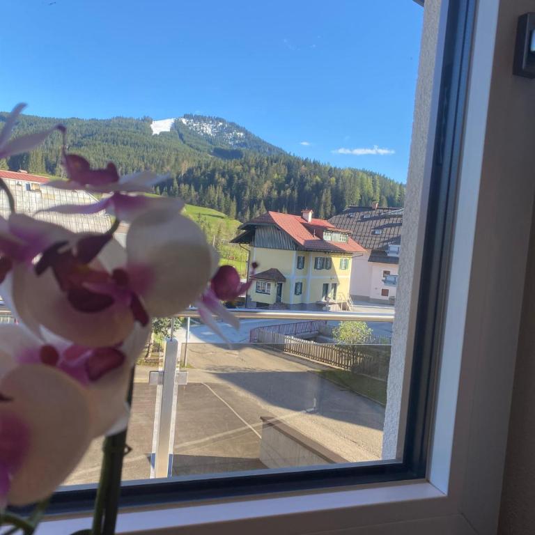 Ferienwohnung Plechau - Apartment mit 2 Schlafzimmern und Bergblick - 22