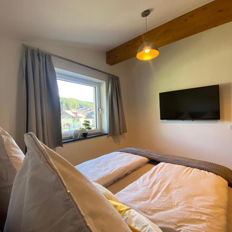 Ferienwohnung Plechau - Apartment mit 2 Schlafzimmern und Bergblick - 50