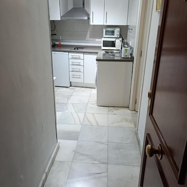 APARTAMENTO ALASKA CENTRO ROSaLEDA - Apartamento de 1 dormitorio - 2