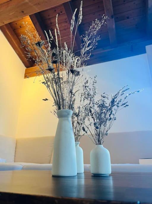 Charmant pour famille - I Love Bivio - Apartment mit 1 Schlafzimmer - 43
