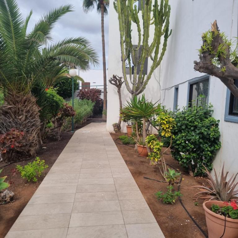 Arkadia Tenerife - Apartamento de 1 dormitorio - 40