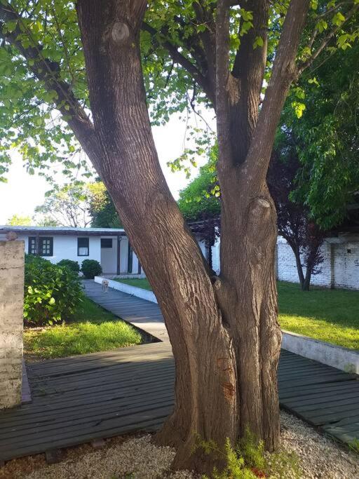 Cálida cabaña para 5 personas en Santa Clara del Mar - Casa de 2 dormitorios - 2
