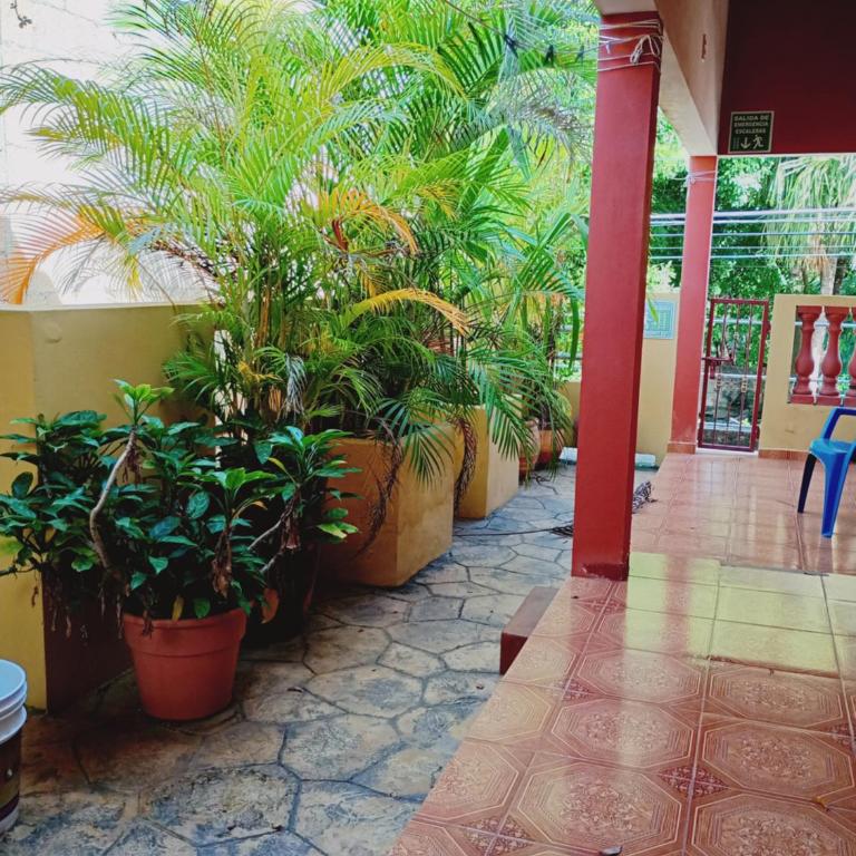 Hospedaje casa Yuca - Habitación Estándar - 1 cama grande - 47