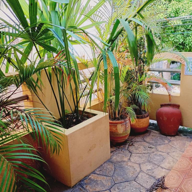 Hospedaje casa Yuca - Habitación Doble Estándar - 37