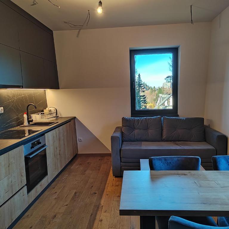 Apartmani Dvosjed - Apartman sa 1 Spavaćom Sobom - 6