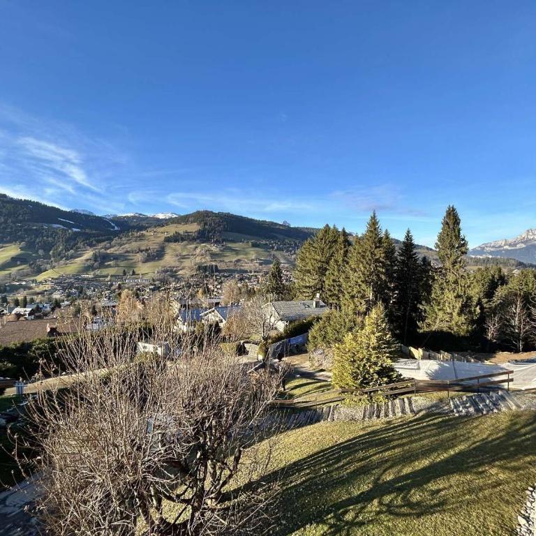 Charmant 2 pièces + cabine à Megève, proche remontées et parking inclus - FR-1-597-185 - Apartamento - 15