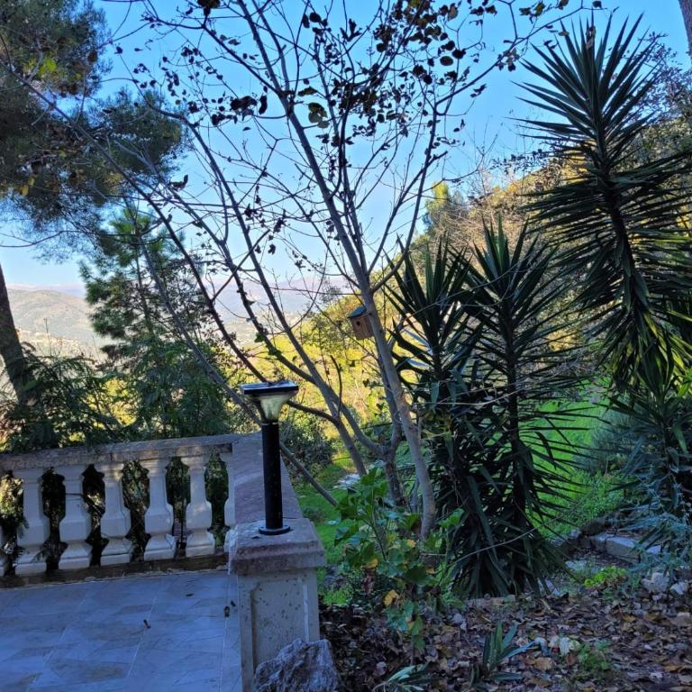 Studio dans Villa Don Quijote Nice - Apartamento de 1 dormitorio - 33