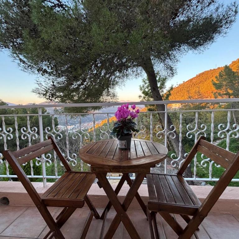 Studio dans Villa Don Quijote Nice - Apartamento de 1 dormitorio - 1