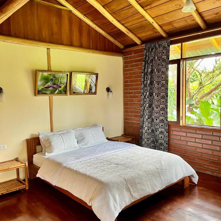 Bird Lover's House - Casa con 1 dormitorio - 2