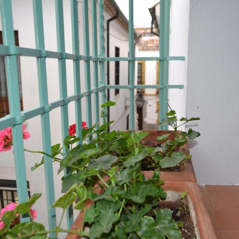 SunShine Patio de la Hoguera - Apartamento de 1 dormitorio - 8