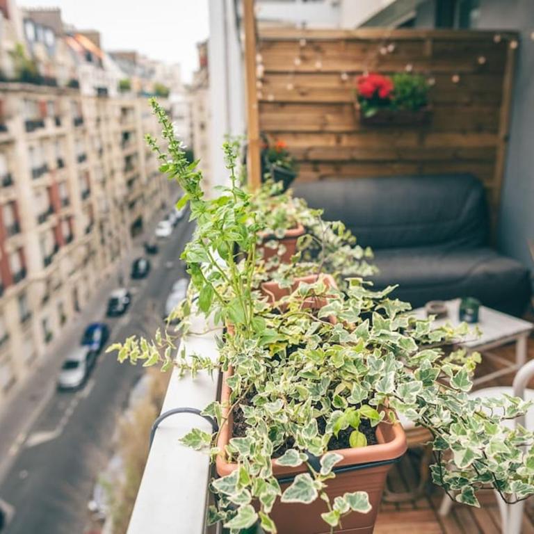 Apartment with Terrace near Parc Des Princes Stadium in 16th arr in Paris - Apartment mit 1 Schlafzimmer - 4