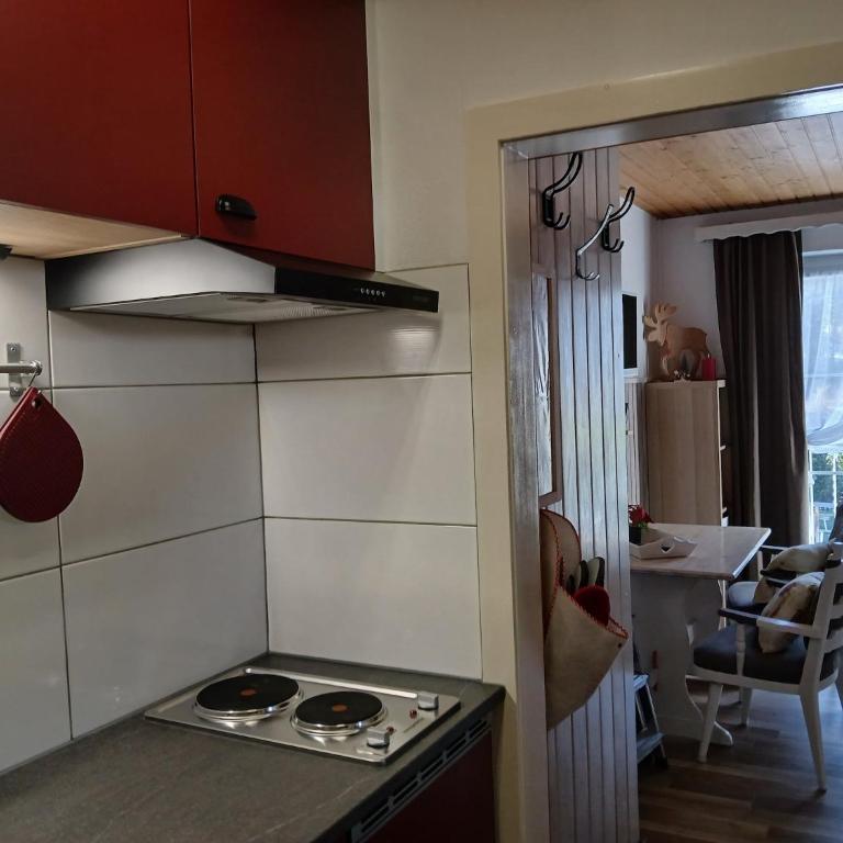 Studio Holunder Weissbriach - Studio-Apartment - 42