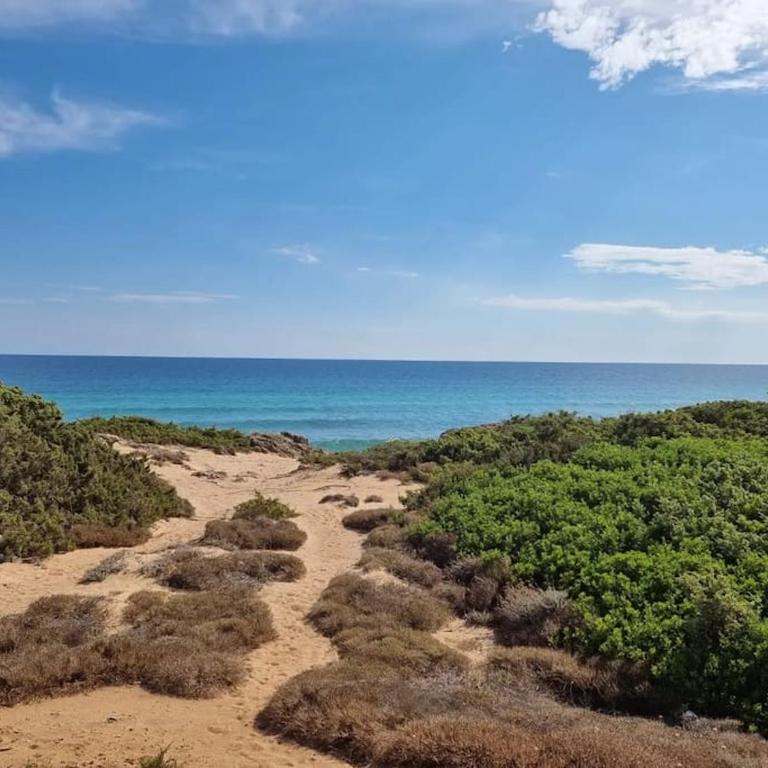 Trullo KAVA - Ceglie Messapica - Villa con 2 Camere da Letto - 32